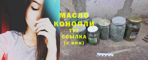 гашик Аркадак