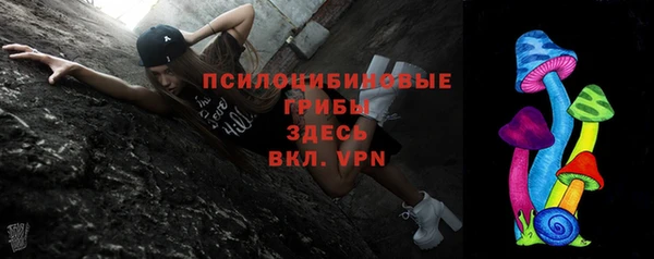 винт Арсеньев