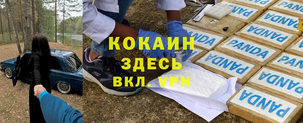 дживик Алексин