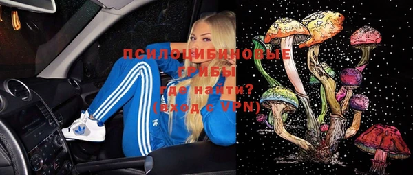 винт Арсеньев