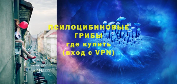 соль ск Абаза